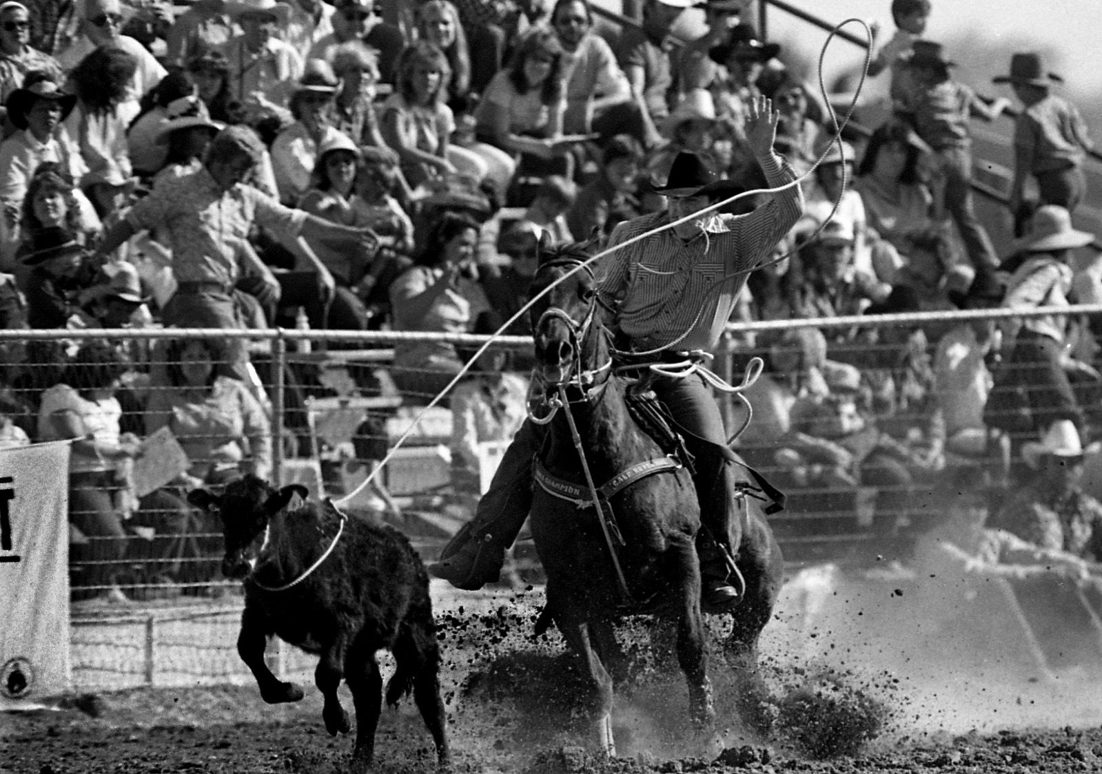 Tucson Rodeo 1961-1986